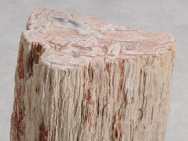 Table d'appoint bois pétrifié 55000