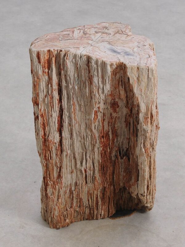 Table d'appoint bois pétrifié 55000