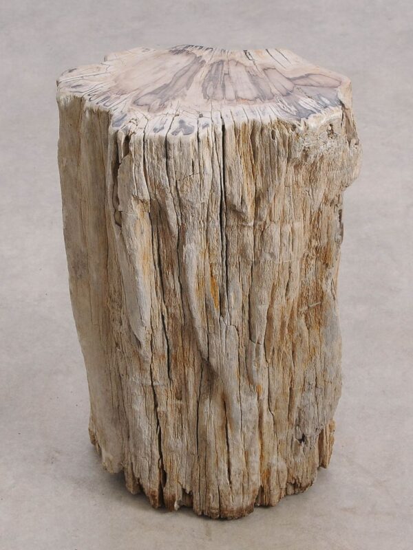 Table d'appoint bois pétrifié 55001