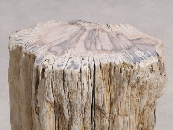 Table d'appoint bois pétrifié 55001