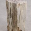 Table d'appoint bois pétrifié 55001