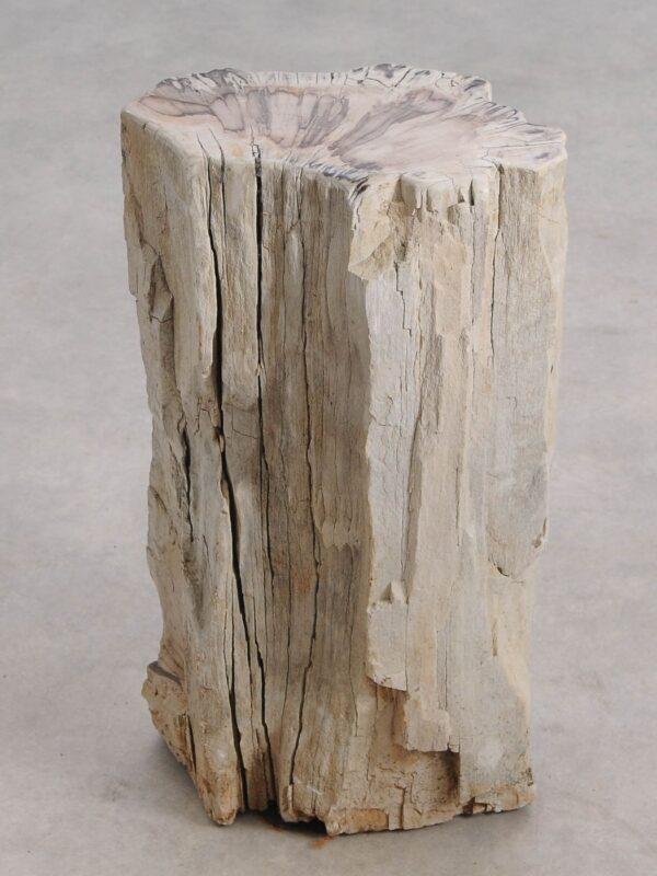 Table d'appoint bois pétrifié 55001