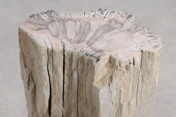 Table d'appoint bois pétrifié 55001