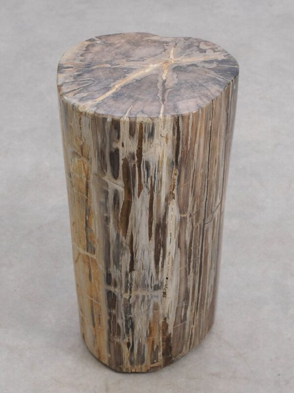 Table d'appoint bois pétrifié 56000