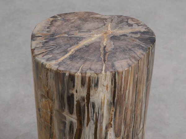 Table d'appoint bois pétrifié 56000
