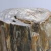 Table d'appoint bois pétrifié 57000