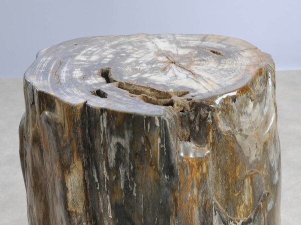Table d'appoint bois pétrifié 57000