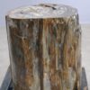 Table d'appoint bois pétrifié 57000