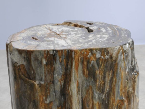 Table d'appoint bois pétrifié 57000