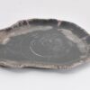 Assiette bois pétrifié 43072f