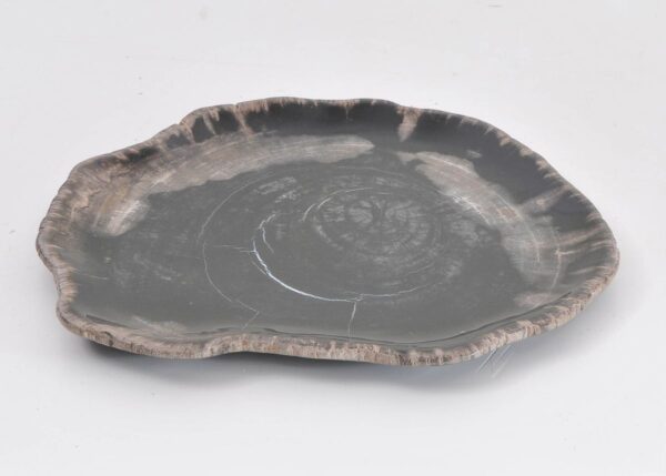 Assiette bois pétrifié 43072f