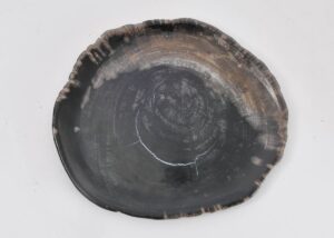 Assiette bois pétrifié 43072i