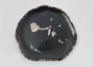 Assiette bois pétrifié 43072k