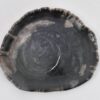 Assiette bois pétrifié 43079b