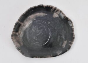 Assiette bois pétrifié 43079b