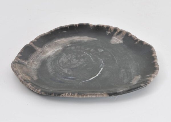 Assiette bois pétrifié 43079b