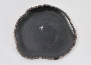 Assiette bois pétrifié 43079f