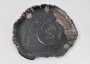 Assiette bois pétrifié 43079i