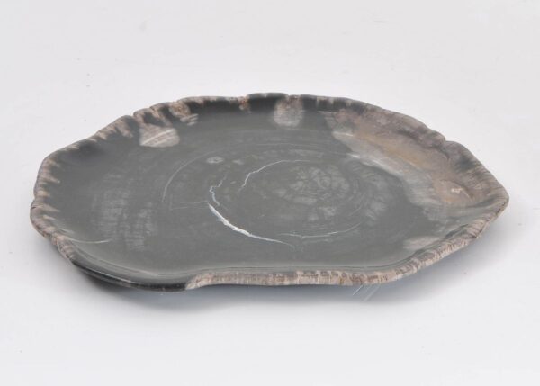 Assiette bois pétrifié 43079i