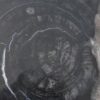 Assiette bois pétrifié 43079i