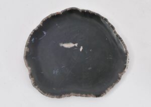 Assiette bois pétrifié 43079j