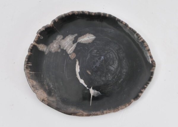 Bord versteend hout 43072c
