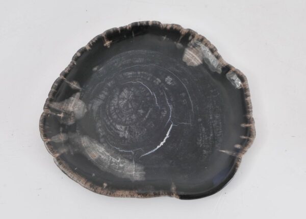 Bord versteend hout 43072g
