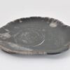 Bord versteend hout 43072g
