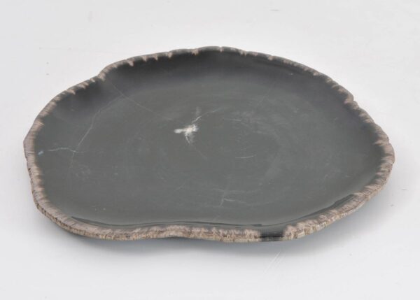 Bord versteend hout 43079f