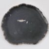 Bord versteend hout 43079j
