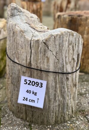 Grabstein versteinertes Holz 52093