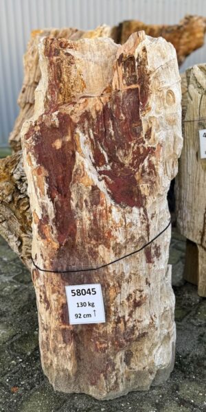 Grabstein versteinertes Holz 58045