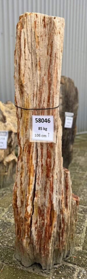 Grabstein versteinertes Holz 58046