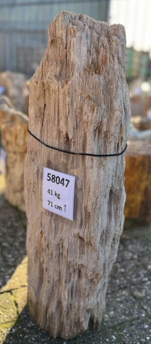 Grabstein versteinertes Holz 58047