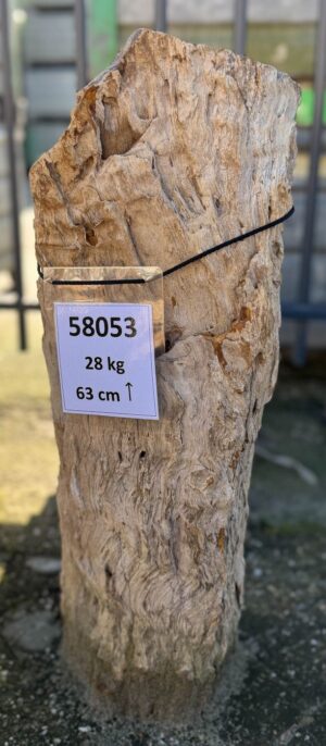 Grabstein versteinertes Holz 58053