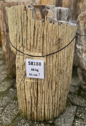 Grabstein versteinertes Holz 58188