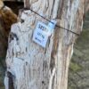 Grabstein versteinertes Holz 58189