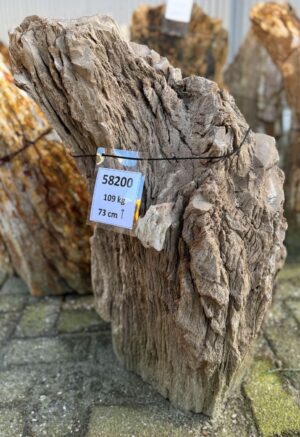 Grabstein versteinertes Holz 58200
