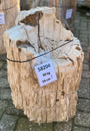 Grabstein versteinertes Holz 58204