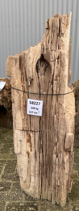 Grabstein versteinertes Holz 58227