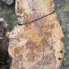 Grabstein versteinertes Holz 58229