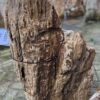 Grabstein versteinertes Holz 58229