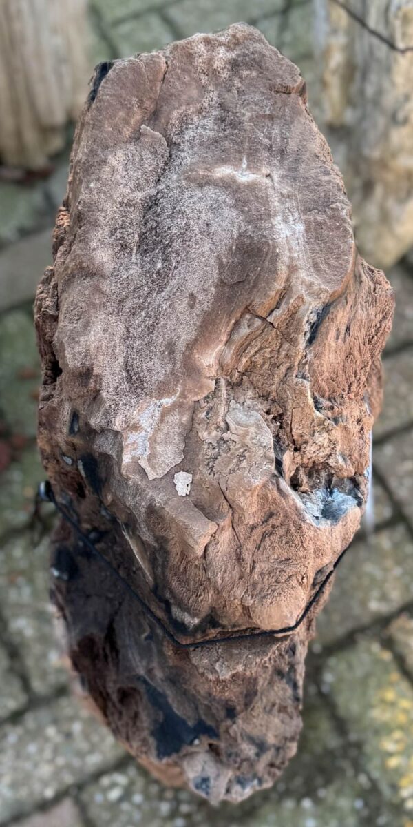 Grabstein versteinertes Holz 58231