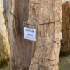 Grabstein versteinertes Holz 58233