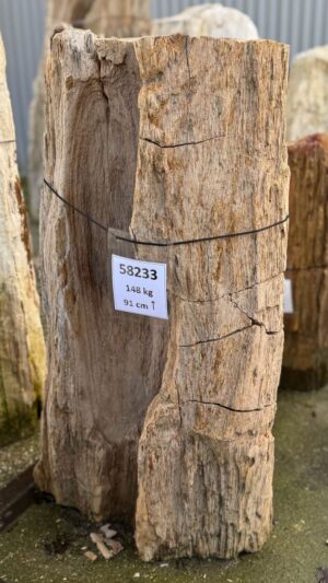 Grabstein versteinertes Holz 58233