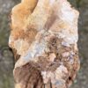 Grafsteen versteend hout 52045