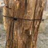 Grafsteen versteend hout 52045