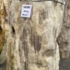 Grafsteen versteend hout 56060