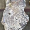 Grafsteen versteend hout 56060