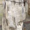 Grafsteen versteend hout 56060